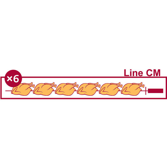 4-CM_Diamond_Van Hattem Horeca_2