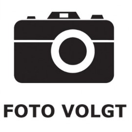 Pootje t.b.v. Hendi inductiekookplaat, per stuk