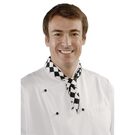 a261--coloured-neckerchief