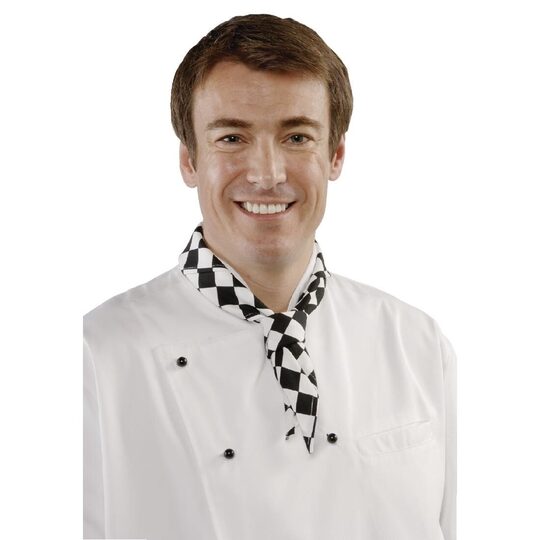 a261--coloured-neckerchief