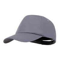ba113_npi23-6