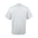 bb669-l_new1