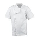 bb669-l_new3