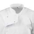 bb669-l_new4