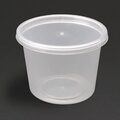 ct083_fiestapot1
