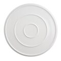 cu176_plateaqua3new