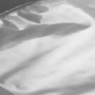 cu369_vacuumbags5-npi23
