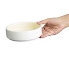 cu410_bowllemon3new