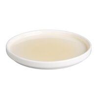 cu411_platelemon1new