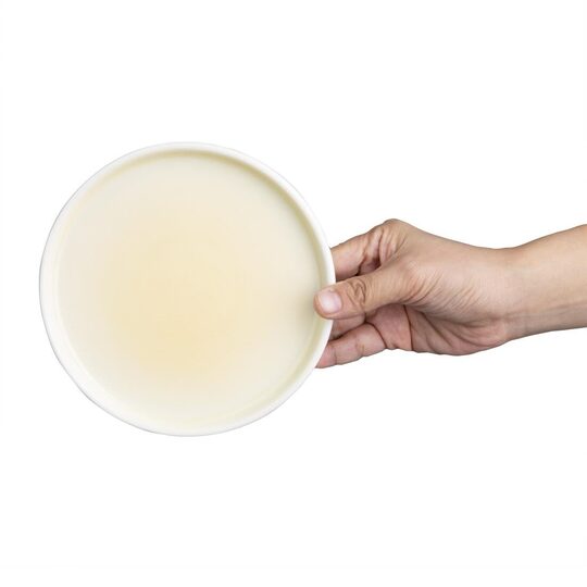 cu411_platelemon4new