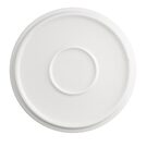cu411_platelemon3new