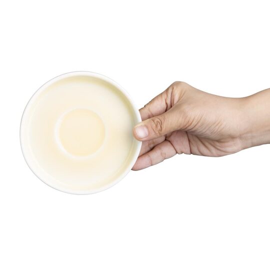 cu423_saucerlemon4new