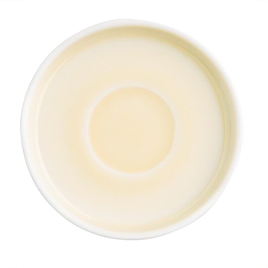 cu423_saucerlemon2new