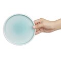 cu429_platemint4