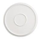 cu433_platemint3