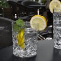 Stijlvol design van het Olympia Old Duke whiskeyglas