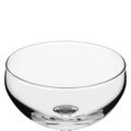 cz009_npi23-champagnecoupe2