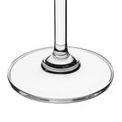 cz009_npi23-champagnecoupe3