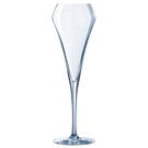 dp751_y_open-up-eff-champagne