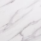 dt446_closeup