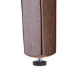 dt696_leg