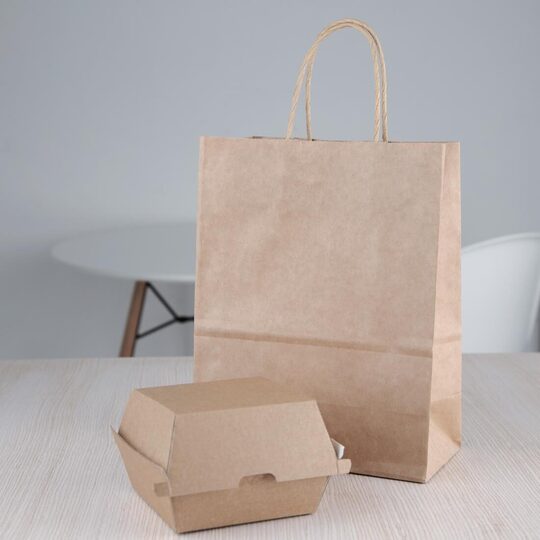 fb664_burgerboxwithbag