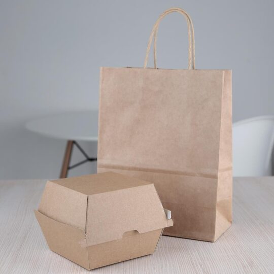 fb665_burgerboxwithbag