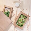 fb678_1600mlpapersaladboxwithplawindow6