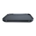 fd938_traycharcoal2
