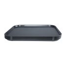 fd938_traycharcoal2