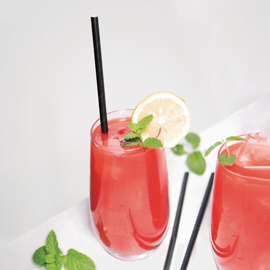 fp440_fiestagreenstrawblack5-sam3710