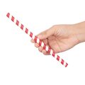 fp443_fiestagpaperstrawredstripe4