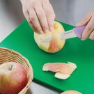 fp732_paringknife4-sam3736
