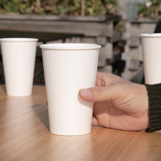 fp781_papercoldcup5