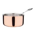 fs667_coppersaucepan1