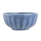 fu204_ctg-2