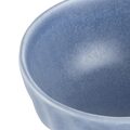 fu204_ctg-3