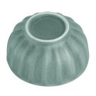 fu210_ctg-4