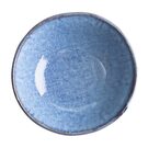 fu224_ctg2