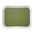 gh236_cambrotray