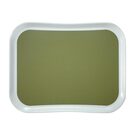 gh236_cambrotray