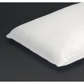 gt858_mitrepillow