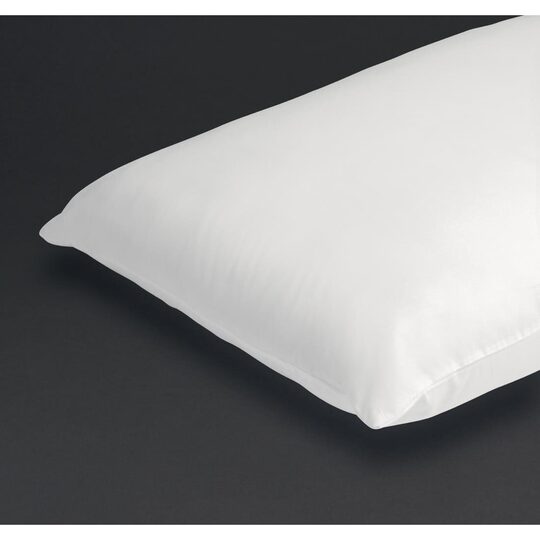 gt858_mitrepillow