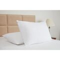 gt858_pillow