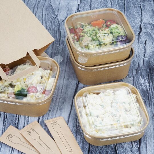 hw017_npi24-foodcontainer6