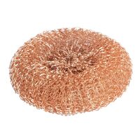 hx239_npi24-coppercotescourer1