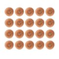 hx239_npi24-coppercotescourer3