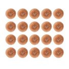 hx239_npi24-coppercotescourer3