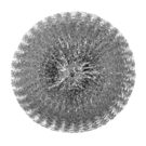 hx268_npi24-steelscourer2