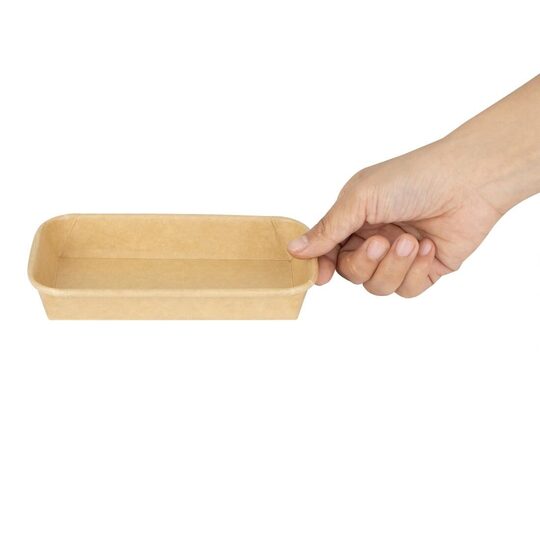 hx286_npi24-sushitray4